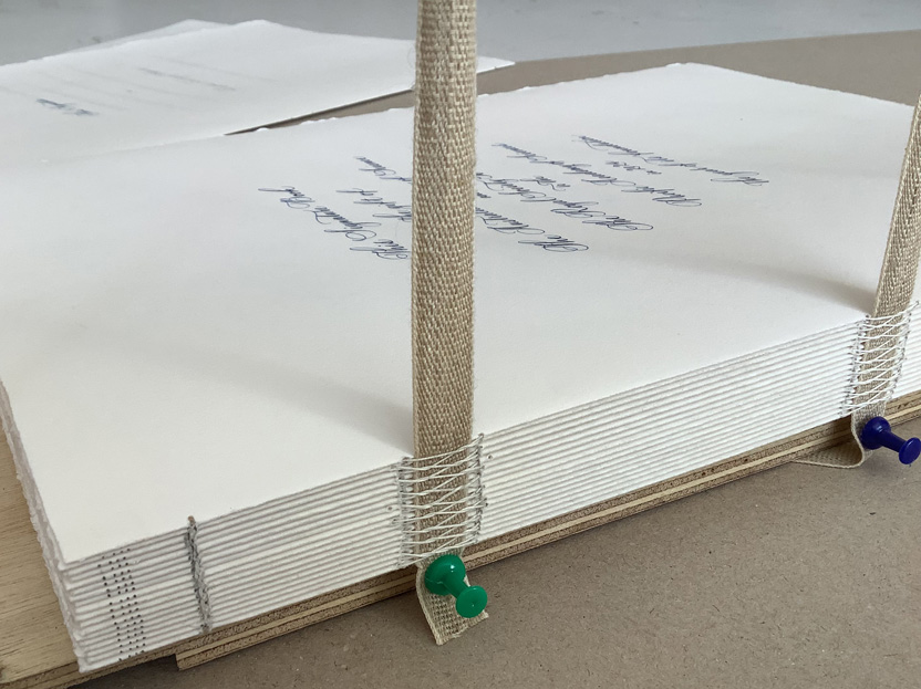 Creating history for the new Pacific Academy of Sciences